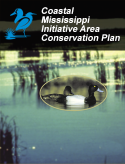 Coastal Mississippi Initiative Area Plan (PDF)
