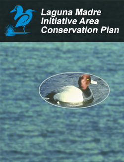 Laguna Madre Initiative Area Plan (PDF)