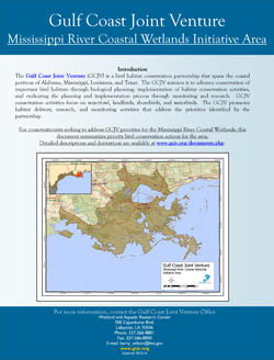 Mississippi River Coastal Wetlands Fact Sheet