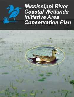 Mississippi River Coastal Wetlands Initiative Area Plan (PDF)