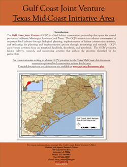 Texas Mid-Coast Fact Sheet (PDF)