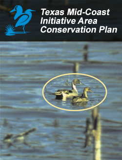 Texas Mid-Coast Initiative Area Plan (PDF)