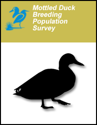 Mottled Duck Breeding Population Survey