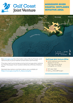 Mississippi River Coastal Wetlands Fact Sheet