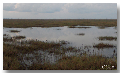 Coastal and Estuarine Land Conservation Program