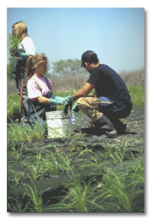 Community-based Habitat Restoration