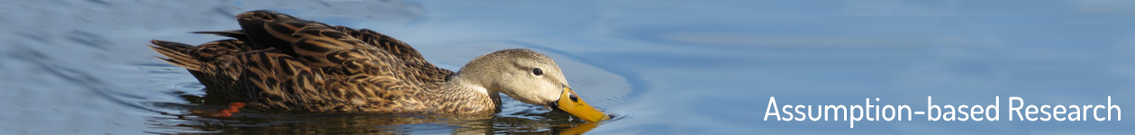 Mottled Duck