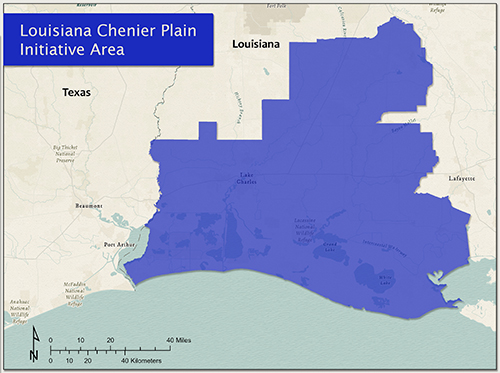 Click on map to open Louisiana Chenier Plain Initiative Area Web Map Application in a new window.