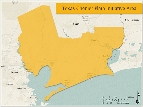 Click on map to open Texas Chenier Plain Initiative Area Web Map Application in a new window.